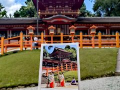 -奈良公园