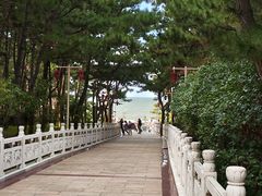 -林海公园