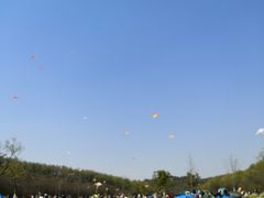 -羊山湖公园
