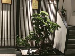 -溪畔•新徽菜(碧湖云溪店)