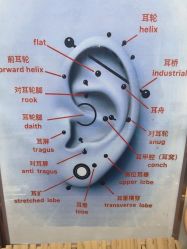 -AI艾耳·专业手工耳洞·穿孔美学馆