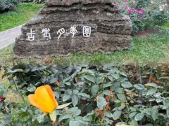 -人民公园(罗湖区)