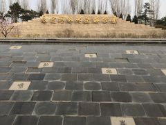 -永定河休闲森林公园