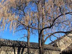 -张学良旧居陈列馆