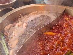 -小天鹅火锅·一线江景洪鼎旗舰店(洪崖洞店)