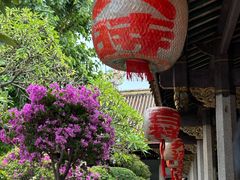 -老炳·七丛松甘草水果