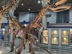 -国家自然博物馆