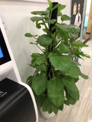 -悟空祛痘·亚健康皮肤管理中心