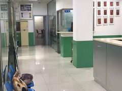 -利又安动物医院··老年病·猫科犬科·中兽医