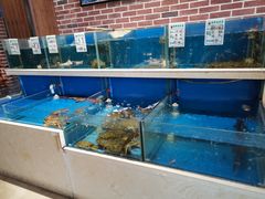 水产区-姜君·千岛湖鱼头馆(浦东大道店)