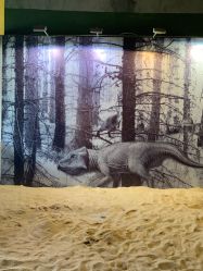 -恐龙探索乐园(磁器口店)