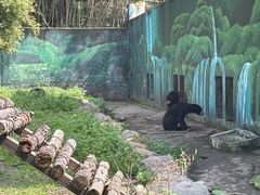 -宁波野生动物园