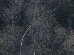 -宜兴龙背山森林公园