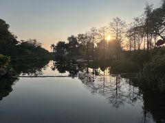 -云溪植物园