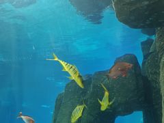 -福州罗源湾海洋世界旅游区