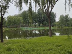 -东郊湿地公园