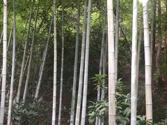 -故乡缘·香格里拉山庄(冷竹路店)