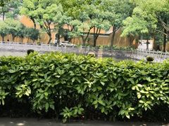 -阿育王寺