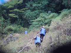 -神农溪纤夫文化旅游区