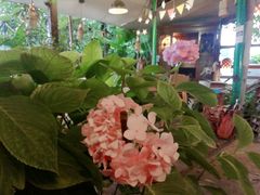-懒鱼时光馆(沙坪坝店)