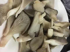 -京城羊坊涮羊肉馆(湖北路)