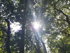 -广州市帽峰山景区