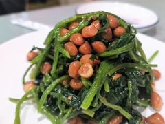 -听涛雅苑百味饺子老家菜馆