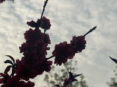 -南开大学(津南校区)