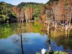 -广州市白云山风景名胜区