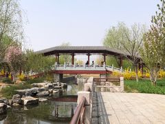 -张家湾公园