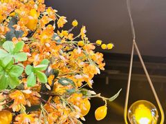 -黄晓猫剁椒大鱼头(海岸城店)