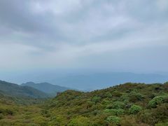 -大围山国家森林公园