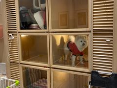 -電力宠物公司(武定路店)