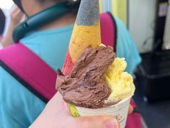 -柠檬车露(卖草地店)