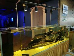 -弓舍射箭俱乐部(高新总店)