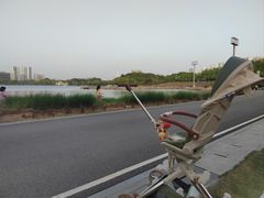 -月湖风景区