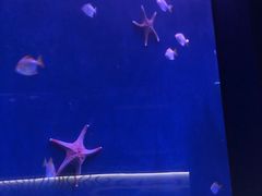 -沈阳海洋探索中心