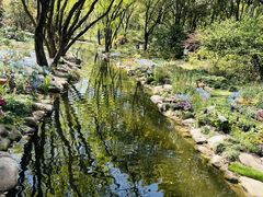 -上海共青森林公园