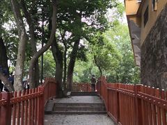 -灵岩山风景区