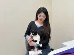 -美联众合爱康动物医院•复杂内科•肿瘤科•牙科•腔镜诊疗中心