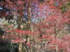-黄公望隐居地