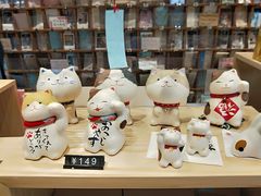 -猫的天空之城概念书店(苏州平江店)