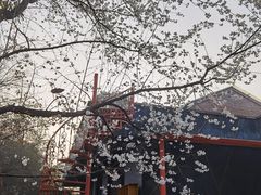 -鱼凫人家