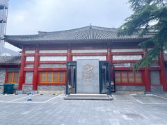 -荷唐·殿 Home Town Palace