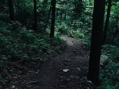 -四明山国家森林公园