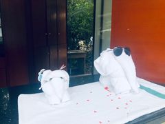 -碧水湾温泉