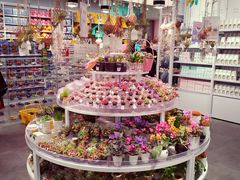 -KKV(深圳kk one 店)