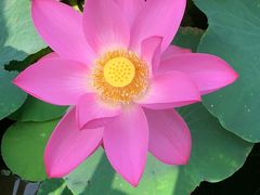 -万源龙顺度假庄园生态观光园