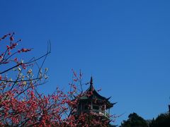 -无锡梅园公园