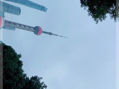 -魔都矩阵